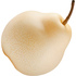 Nashi pear